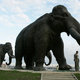A mammoth sculpture in Khanty-Mansiisk, Siberia, Russia.